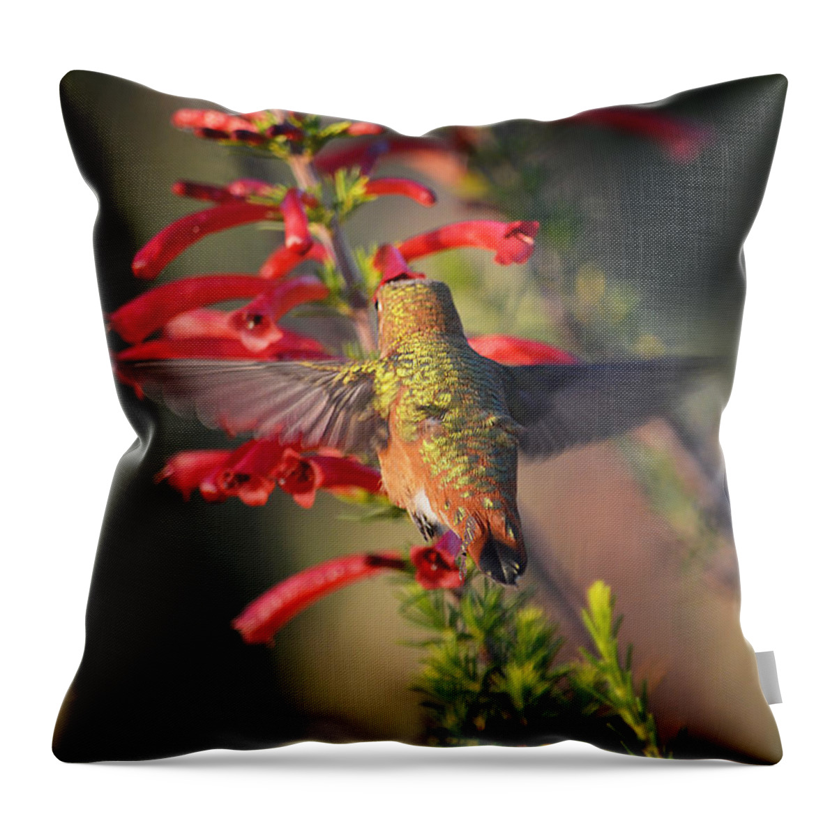 Hummingbirds Throw Pillow featuring the photograph Hummingbird in Flight 1 by Xueling Zou