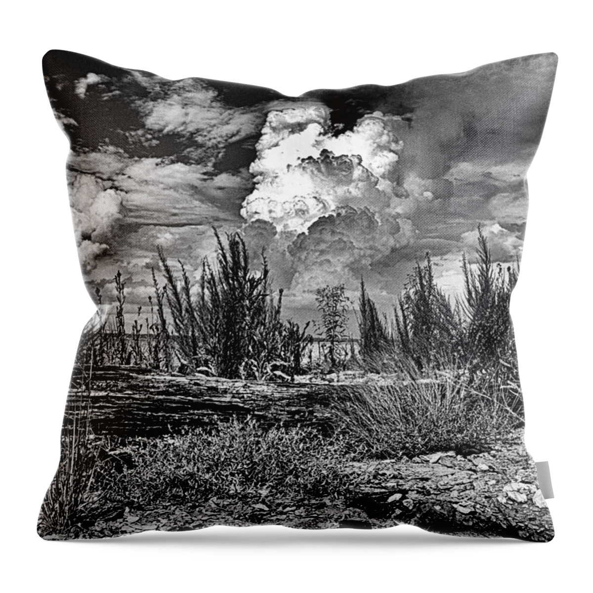 Hurricane Throw Pillow featuring the photograph Hurricane Isaac Clouds by Joshua House