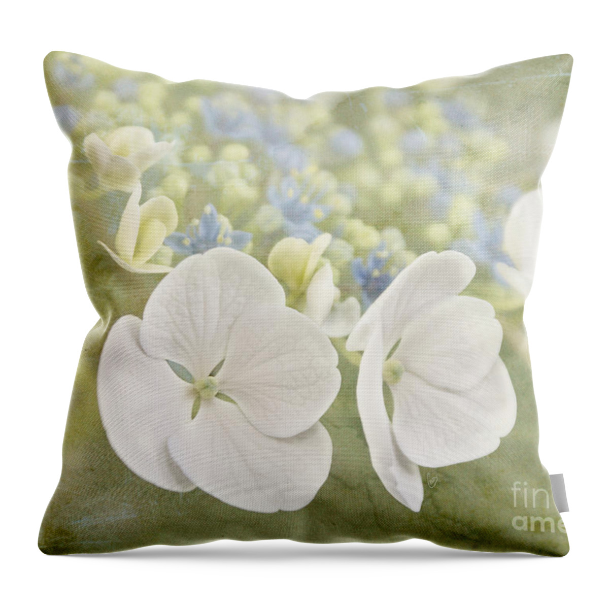 Hydrangea Throw Pillow featuring the photograph Hydrangea dreams by Cindy Garber Iverson