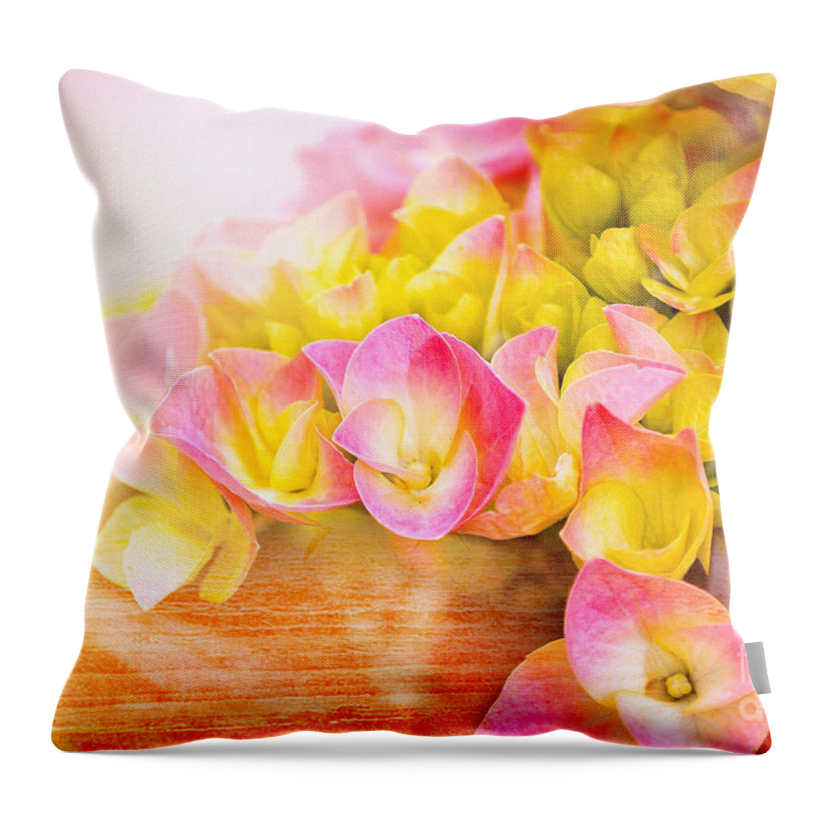 Flowers Throw Pillow featuring the photograph Hydrangeas in Bloom by Elaine Manley
