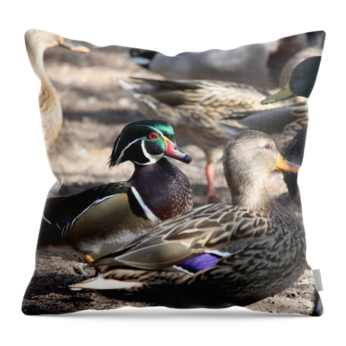 Wood Duck Throw Pillow featuring the photograph I Found Waldo by Amy Gallagher