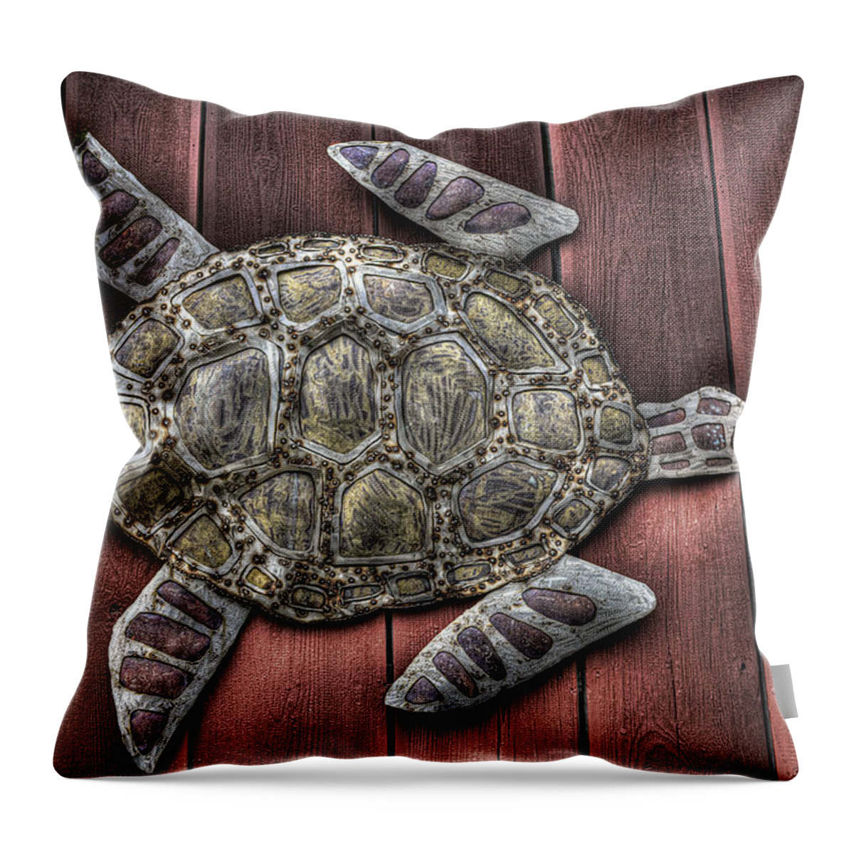 I Swim On The Barn Wall Throw Pillow featuring the photograph I Swim on the Barn Wall by William Fields