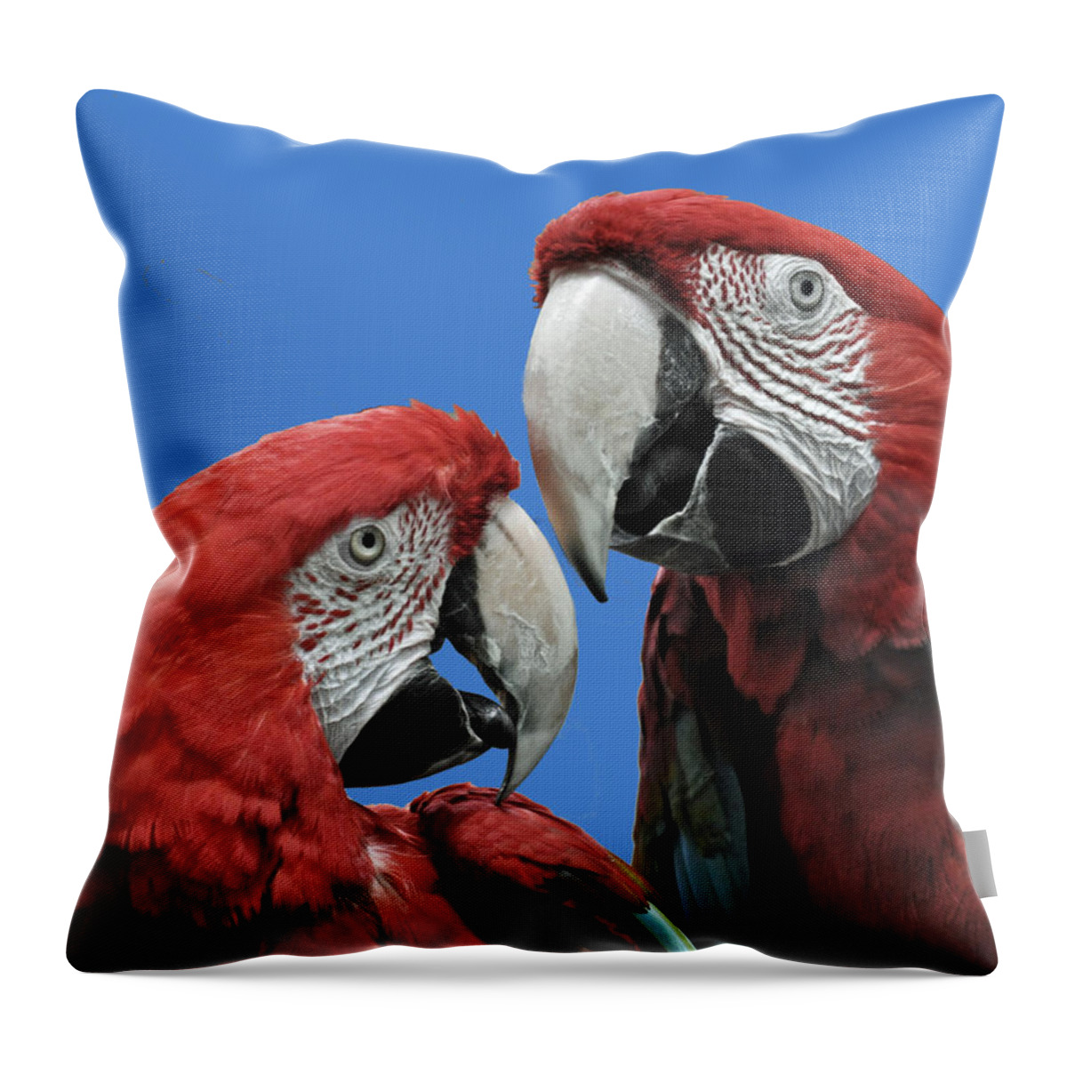 Parrot Throw Pillow featuring the photograph I Told You So by Rodney Campbell