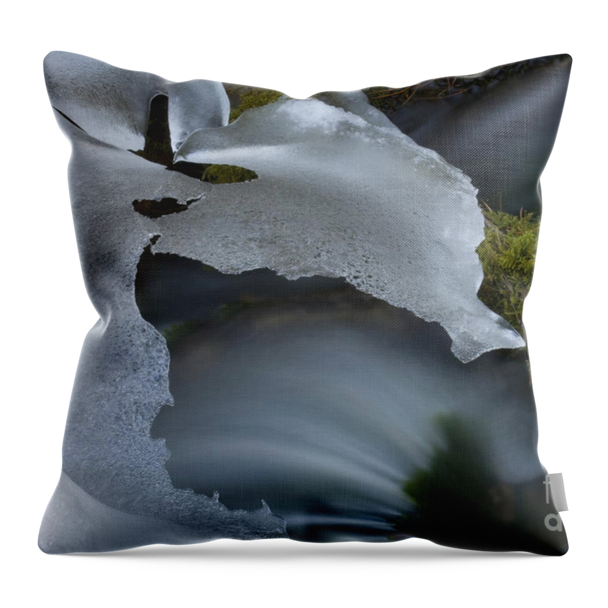 Ice Throw Pillow featuring the photograph Ice 9 by Bob Christopher
