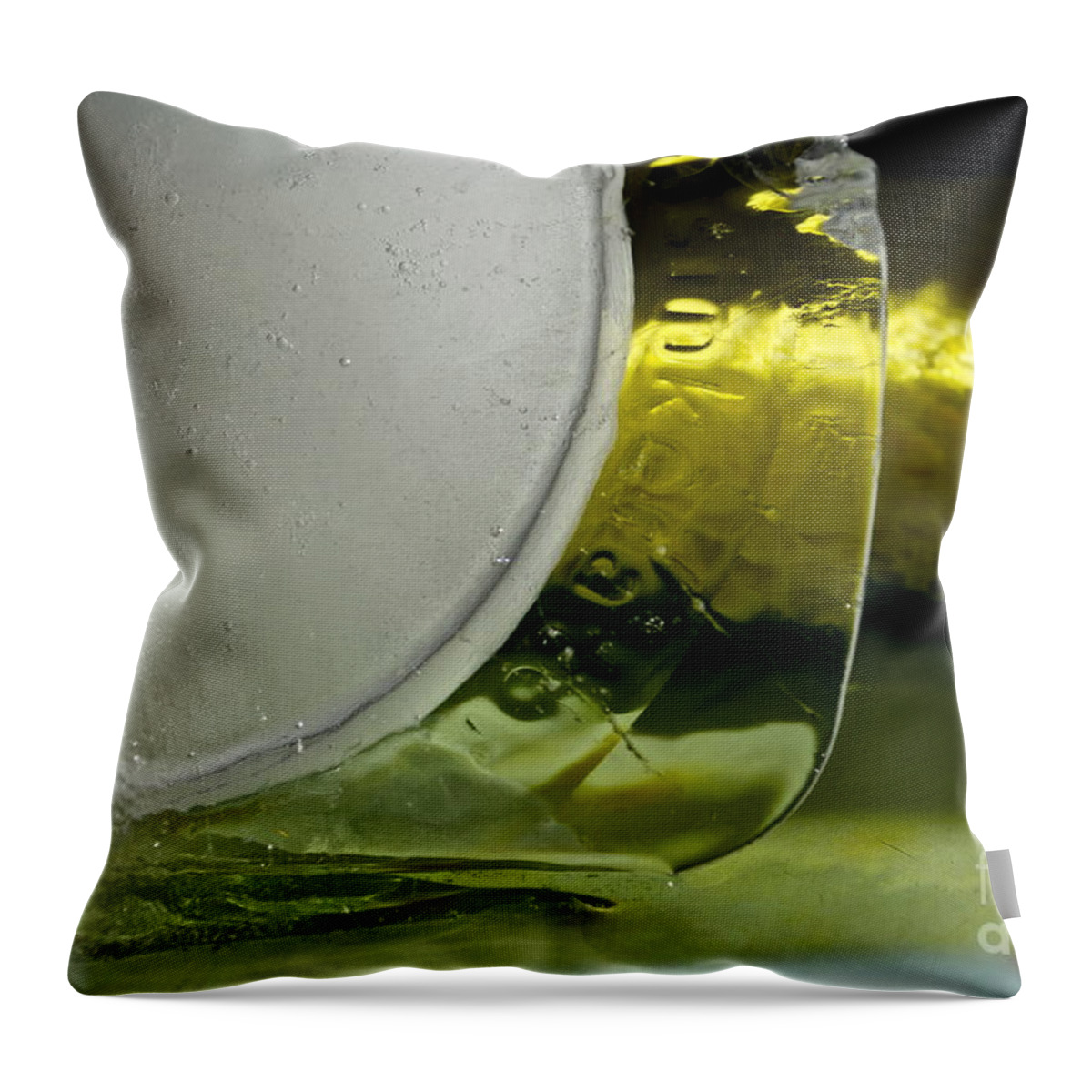 Obsessed Throw Pillow featuring the photograph Ice Obsession One by Gwyn Newcombe