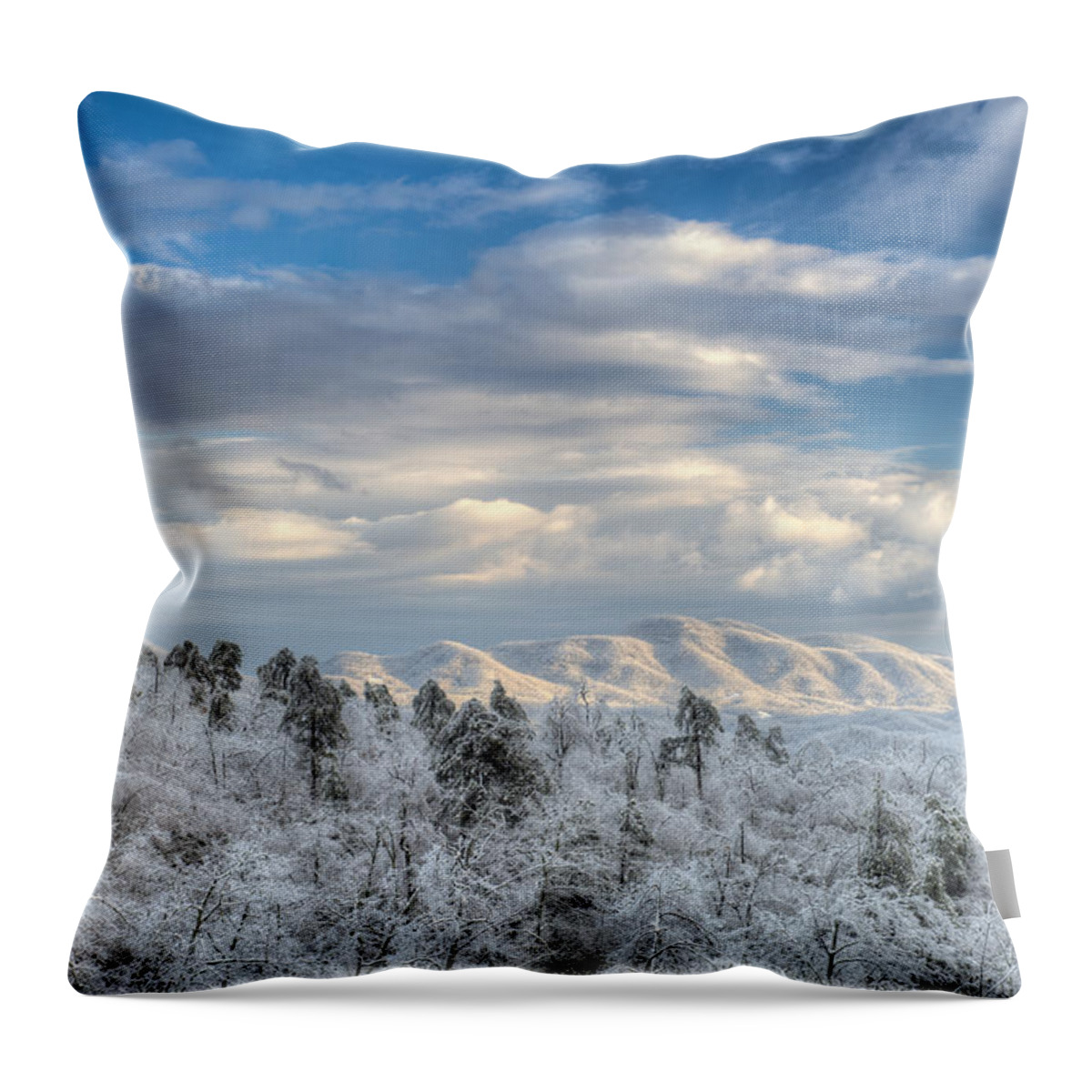 Christmas Throw Pillow featuring the photograph Ice on the Mountain by Joye Ardyn Durham