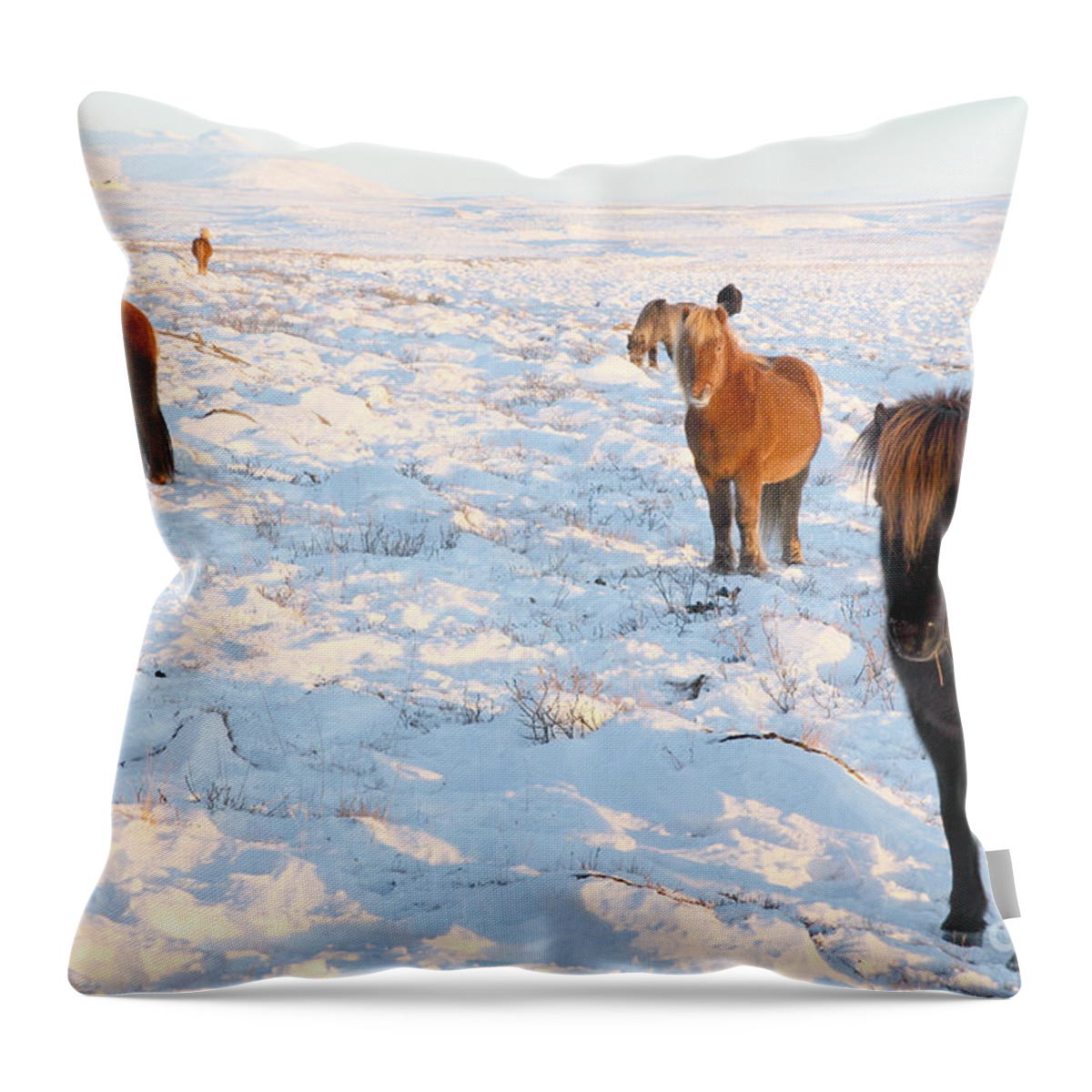 Iceland Throw Pillow featuring the photograph Iceland by Milena Boeva