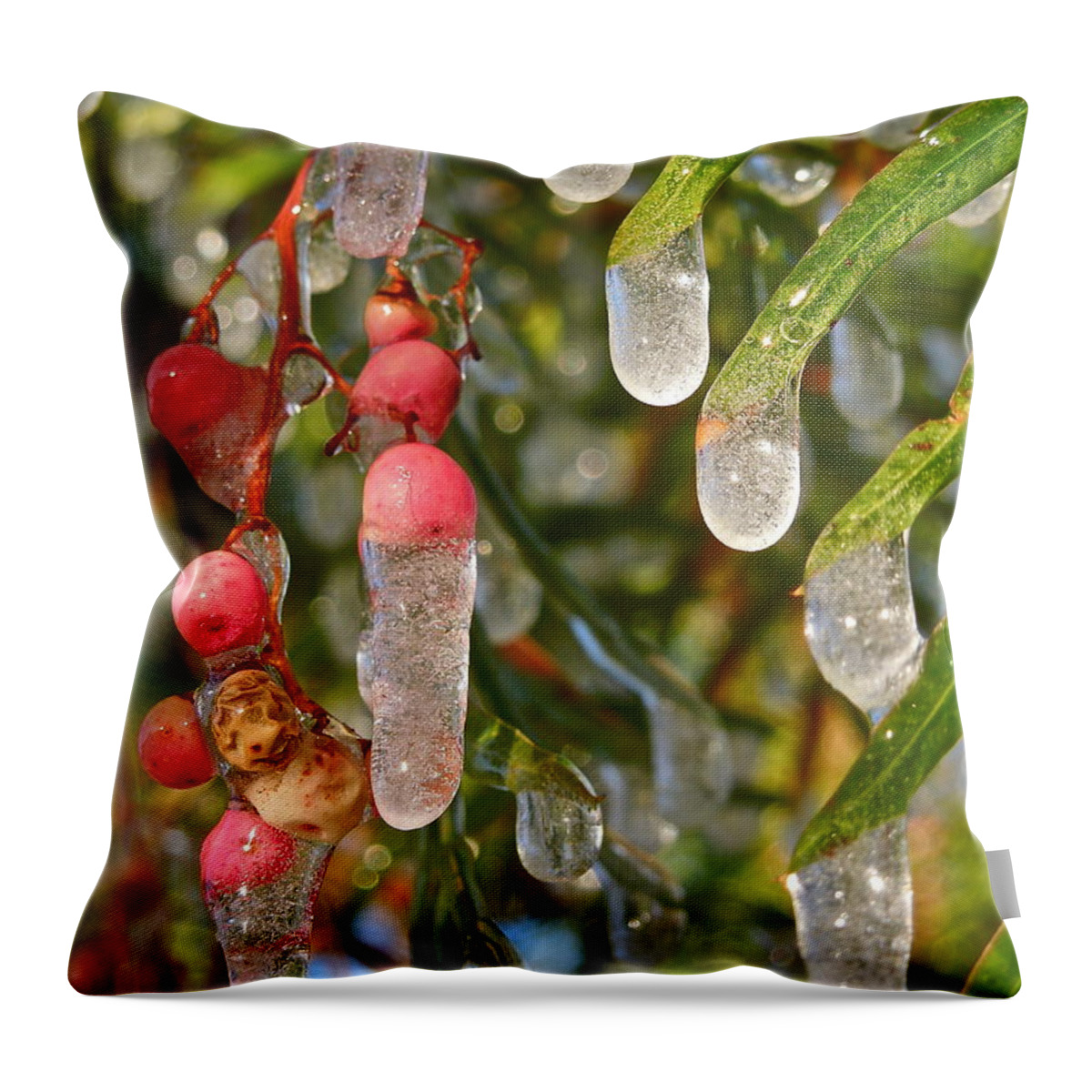 Tree Throw Pillow featuring the photograph Icy Pepper Tree by Diana Hatcher