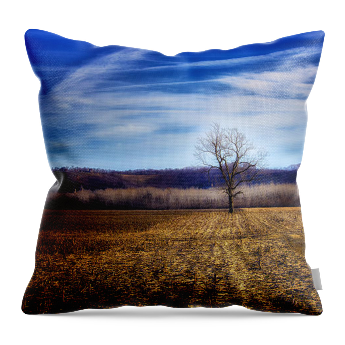 Field Throw Pillow featuring the photograph Illuminated Tree by Bill and Linda Tiepelman