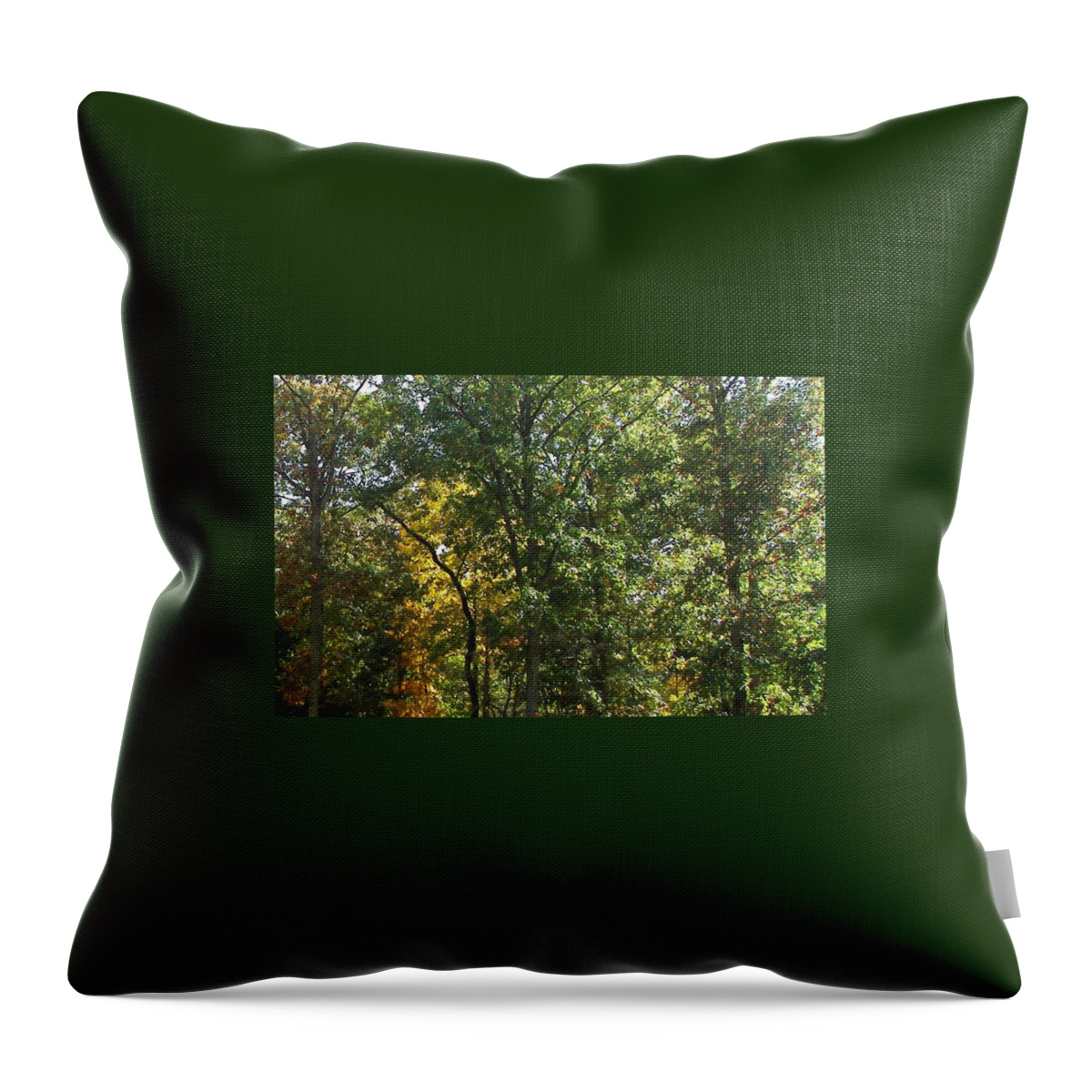 Nature Throw Pillow featuring the photograph Image of Fall by Pamela Hyde Wilson