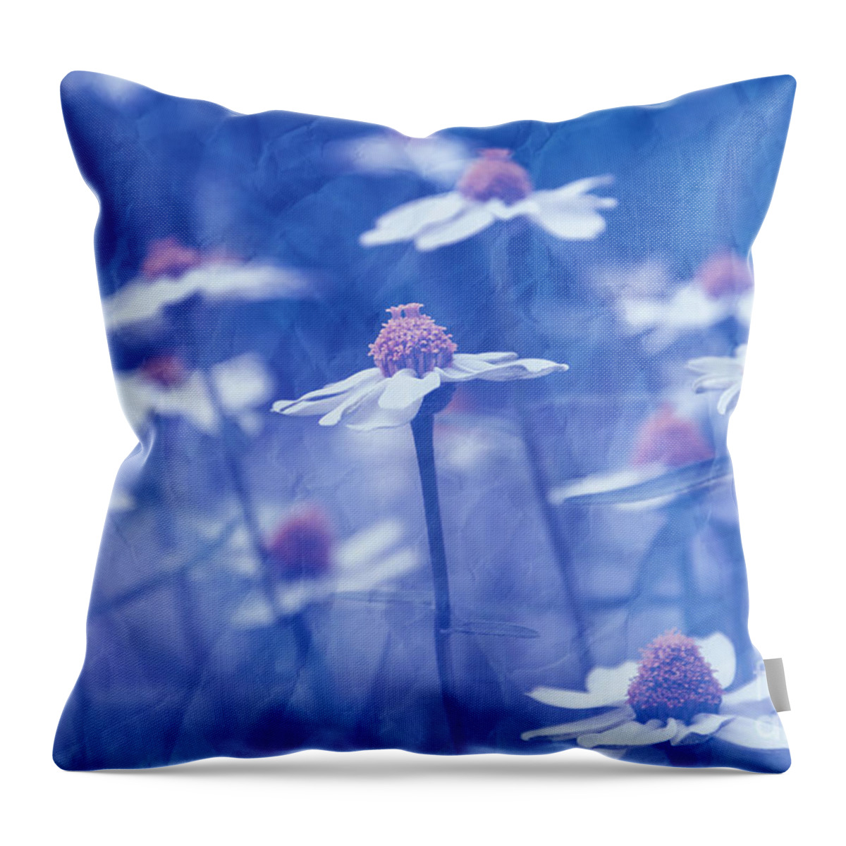 Daisies Throw Pillow featuring the photograph Imagine 06ht01 by Variance Collections