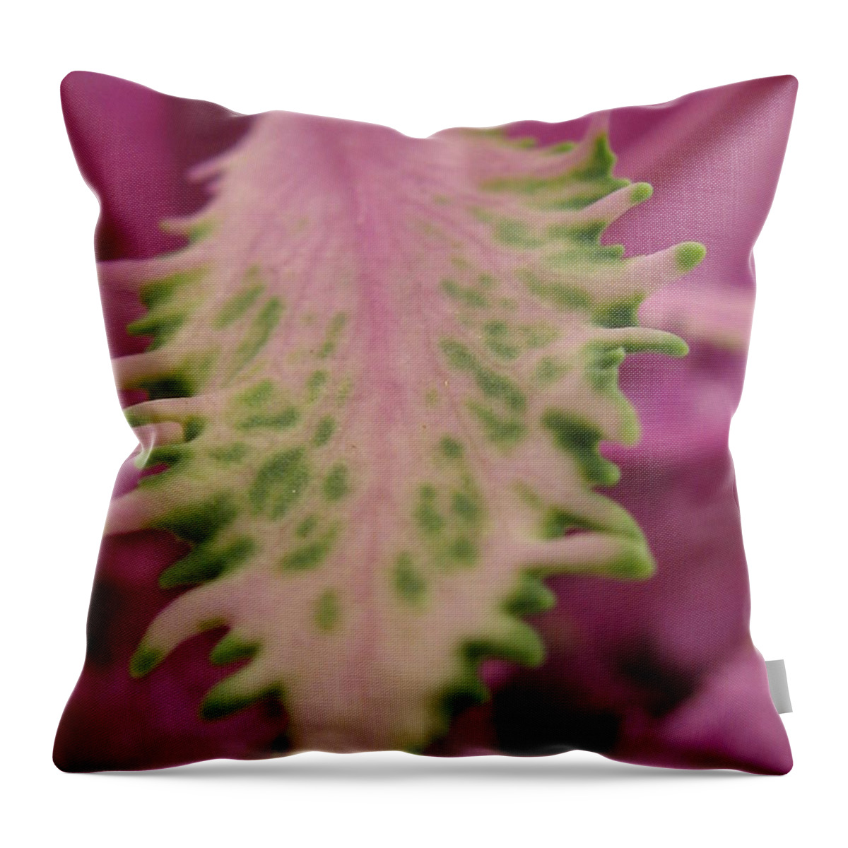 Flower Throw Pillow featuring the photograph Impeccable by Holy Hands