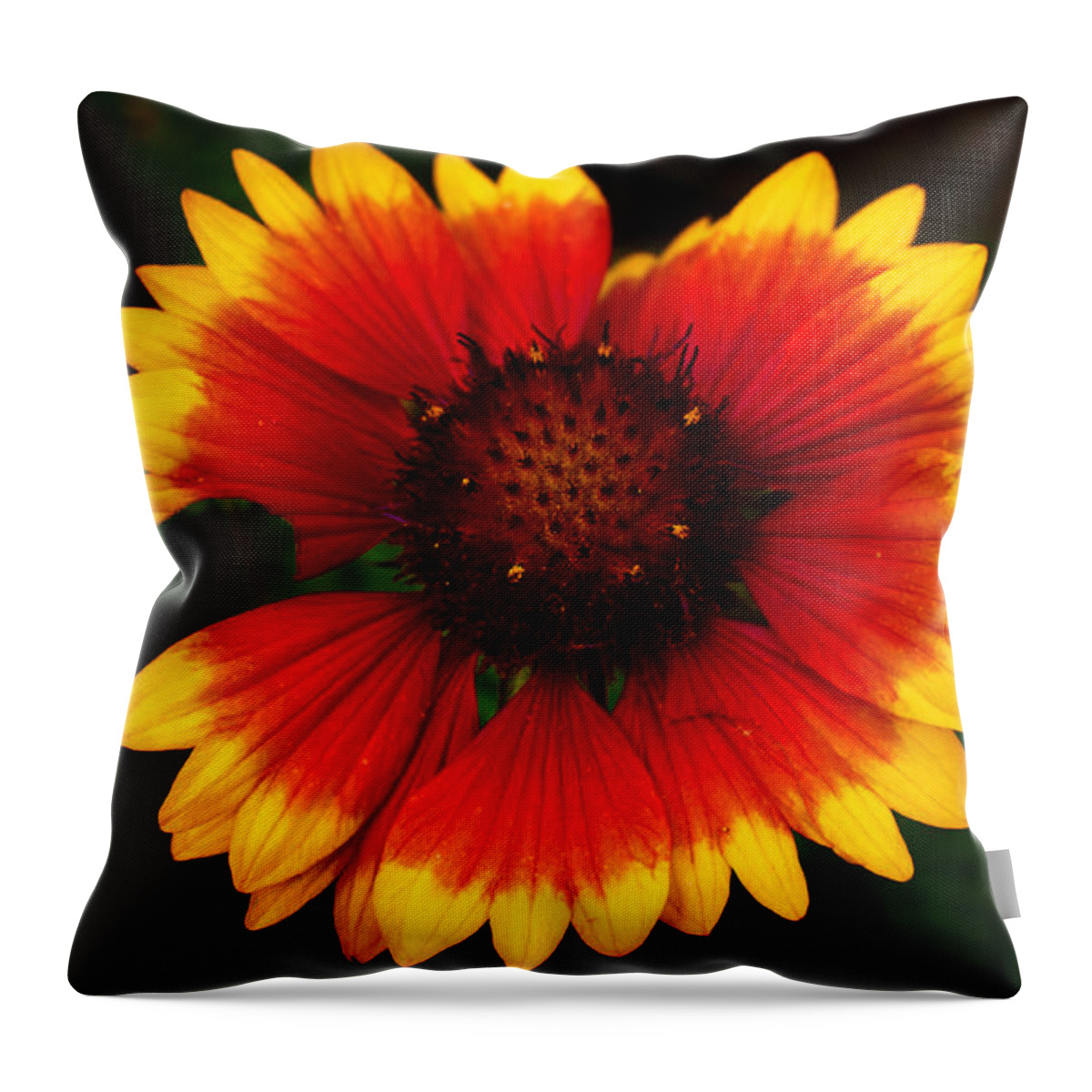 Flower Throw Pillow featuring the photograph Imperfect beauty by Milena Ilieva