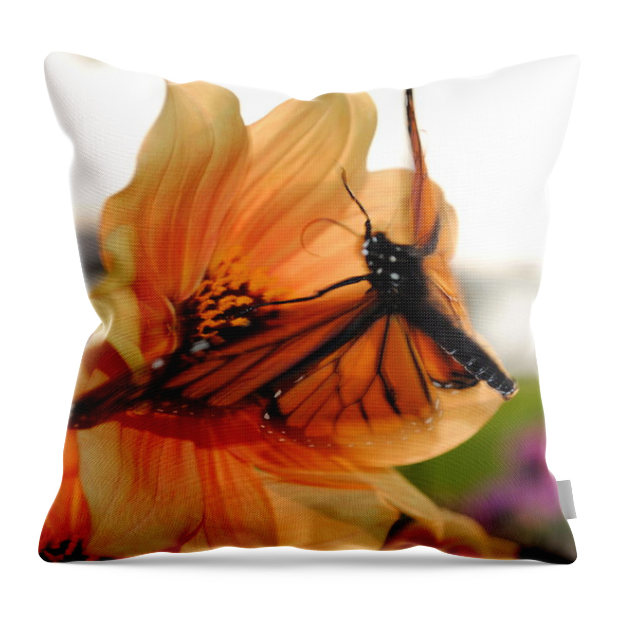  Throw Pillow featuring the photograph In Flight... by Michael Frank Jr