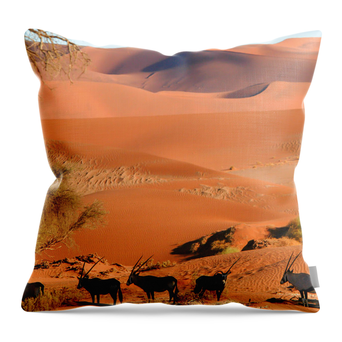 Antelope Throw Pillow featuring the photograph In the shade by Alistair Lyne