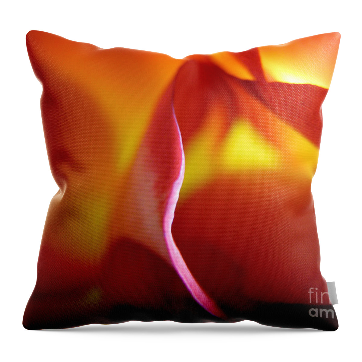 Rose Throw Pillow featuring the photograph Inner Flame by Stacey Zimmerman