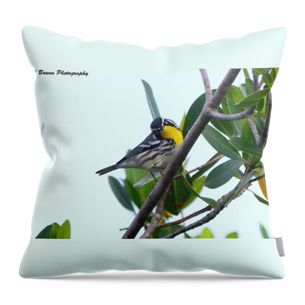 Yellow Throated Warbler Throw Pillow featuring the photograph Inquisitive Yellow throated warbler by Barbara Bowen