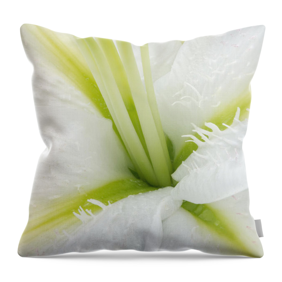 Lily Throw Pillow featuring the photograph Inside a White Lily by Ann Garrett