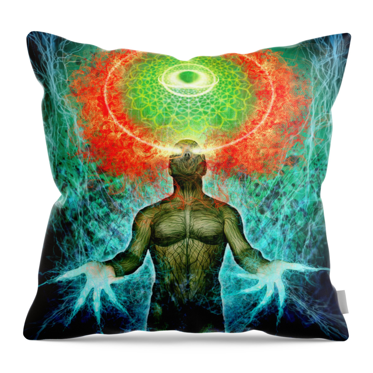 Tonykoehl Throw Pillow featuring the mixed media Inside the Inside by Tony Koehl