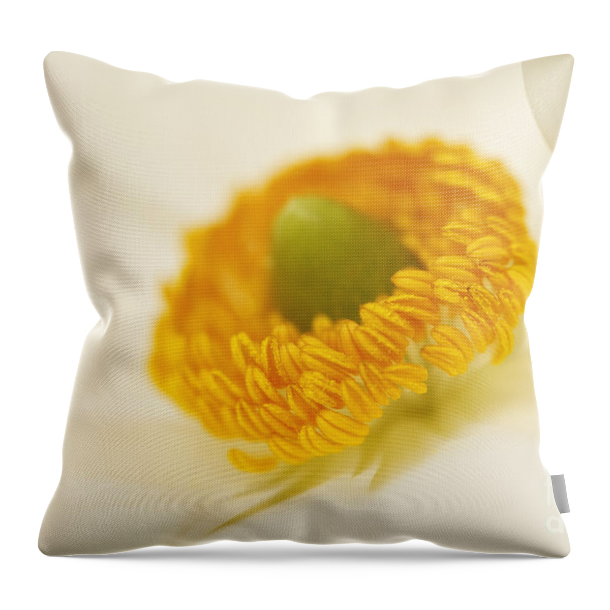 Anemone Throw Pillow featuring the photograph Internal Pureness by Susan Gary