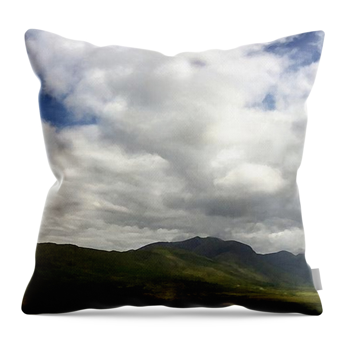Landscape Throw Pillow featuring the photograph Ireland Panorama by Victoria Porter