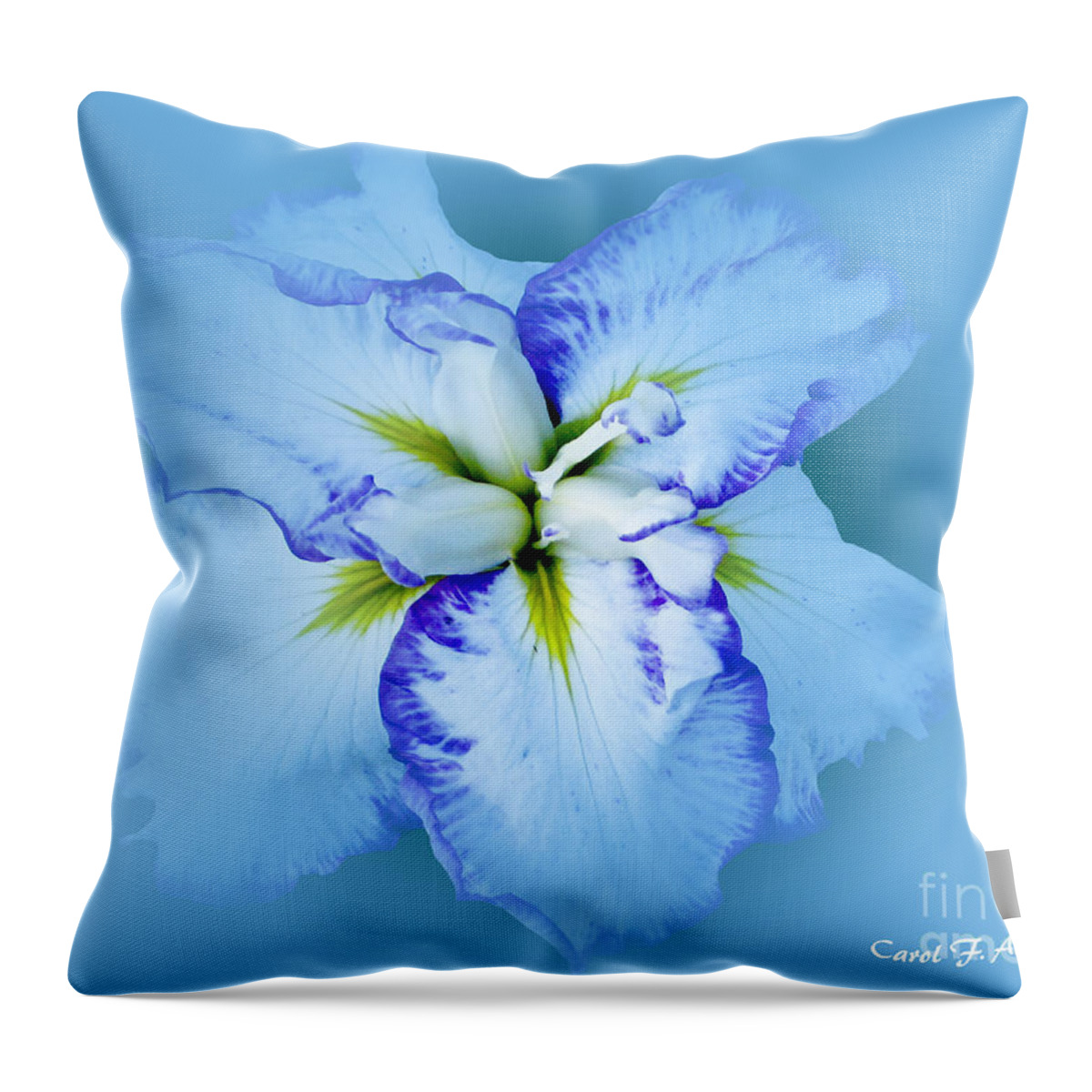 Iris Throw Pillow featuring the photograph Iris in Blue by Carol F Austin