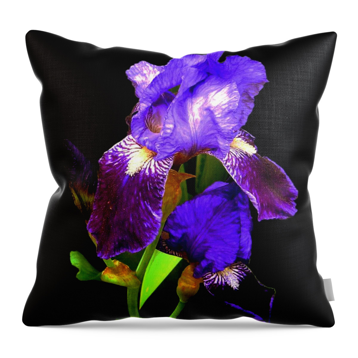 Iris Throw Pillow featuring the digital art Iris on Black by Dale  Ford
