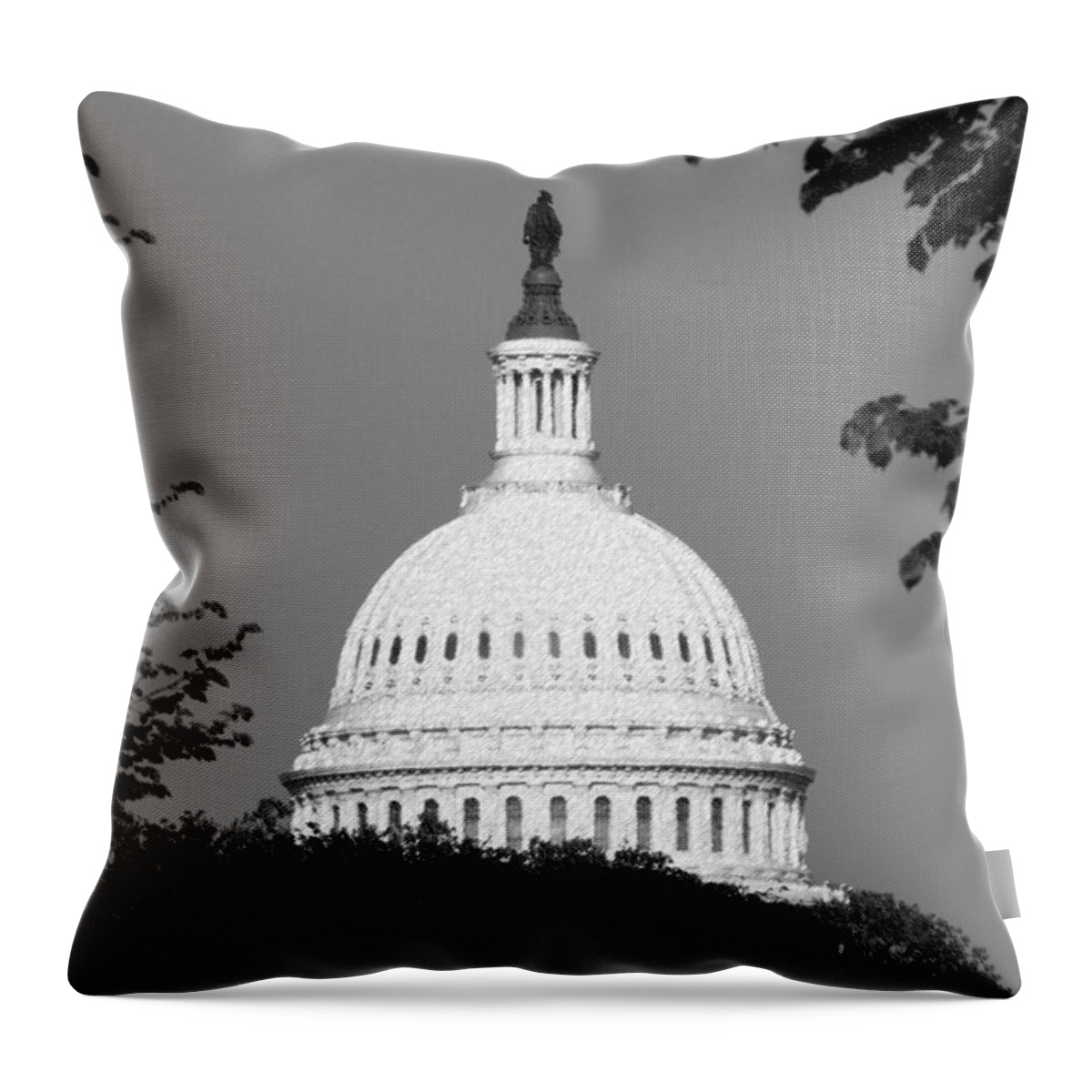 Capital Washington Dc Dome Congress Government Architecture Throw Pillow featuring the photograph It Really Is Black and White by Kevin Fortier