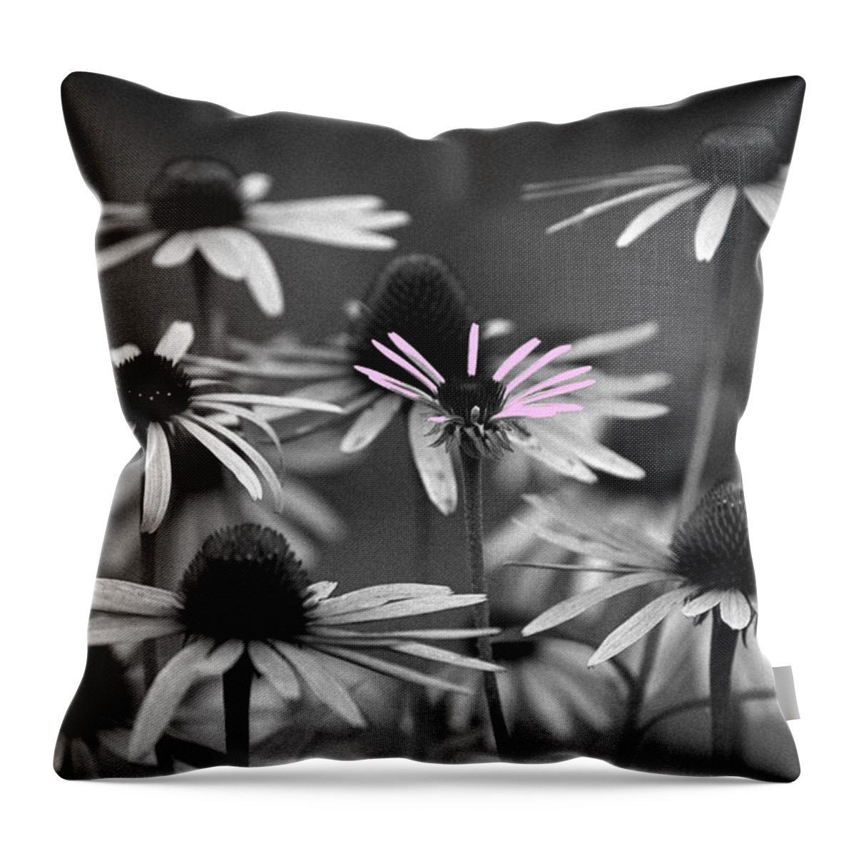 Cone Flowers Throw Pillow featuring the photograph It Takes a Village by Wanda Brandon