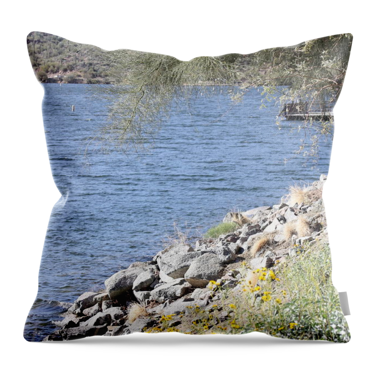 Sagouro Throw Pillow featuring the photograph January shoreline by Kim Galluzzo