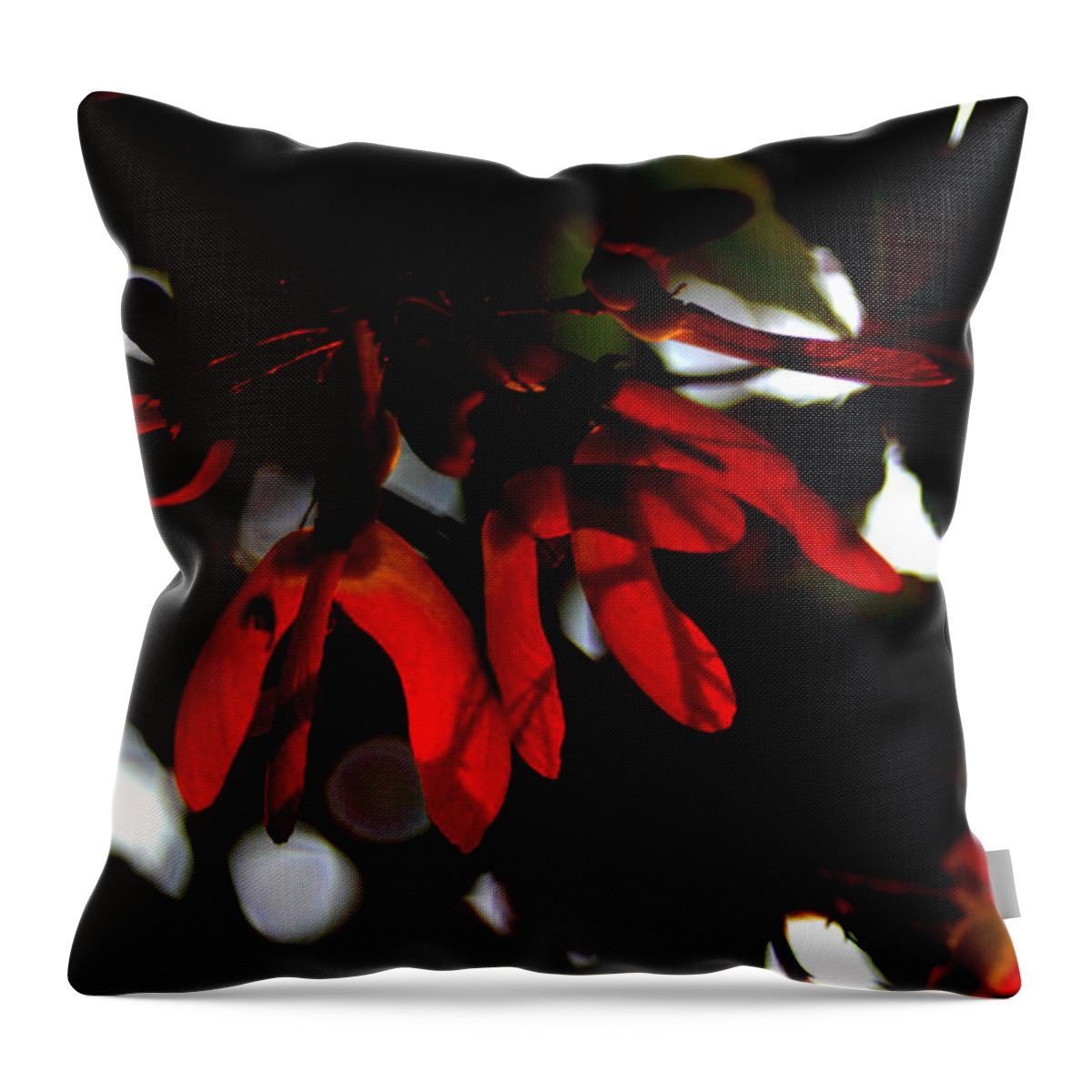 Maple Throw Pillow featuring the photograph Japanese Maple Seed Pods by Robert Morin