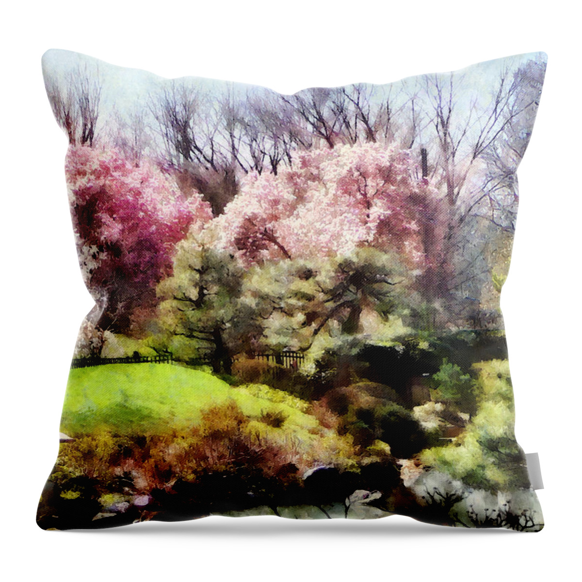 Japanese Garden Throw Pillow featuring the photograph Japanese Spring by Susan Savad