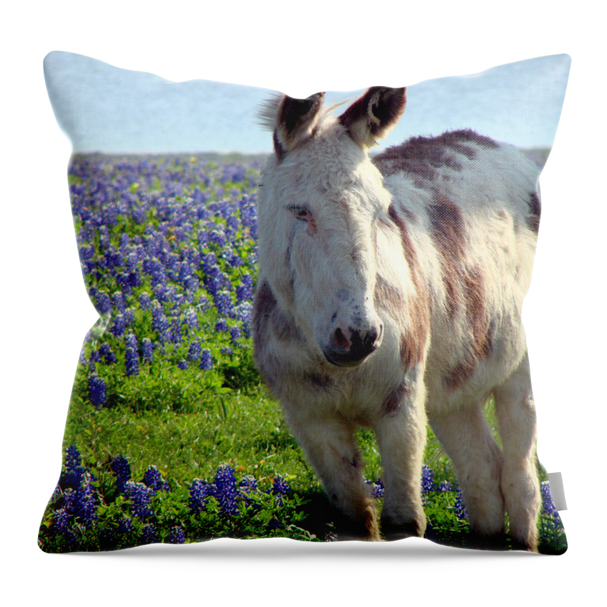 Donkey Throw Pillow featuring the photograph Jesus Donkey In Bluebonnets by Linda Cox