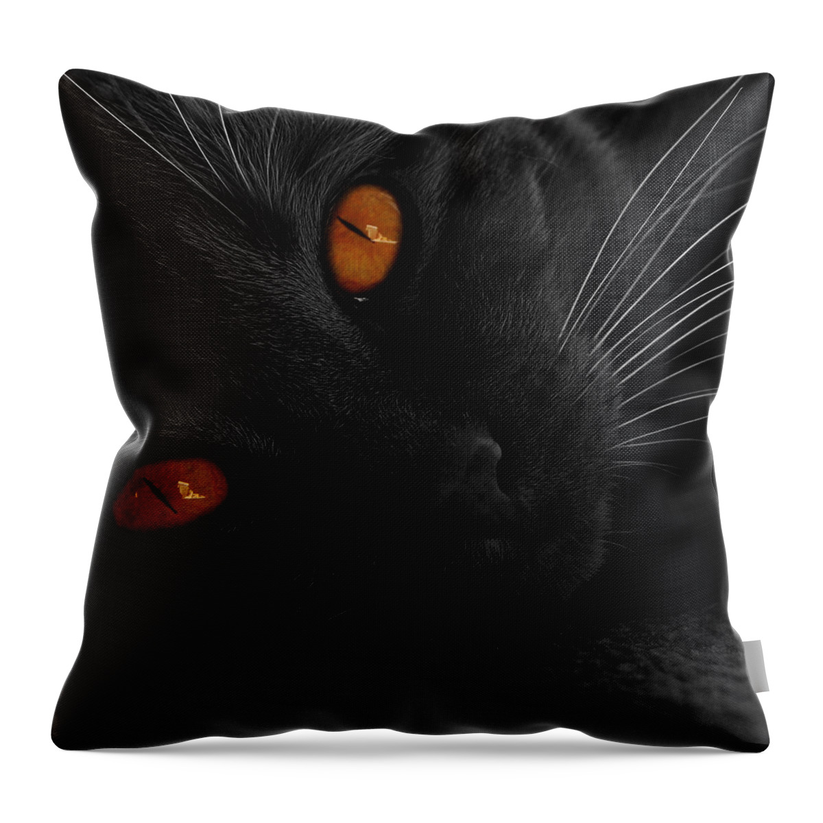  Throw Pillow featuring the photograph Jill by J C
