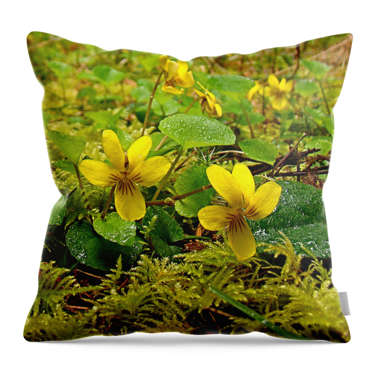 Violet Throw Pillow featuring the photograph Johnny Jump Up by Nick Kloepping