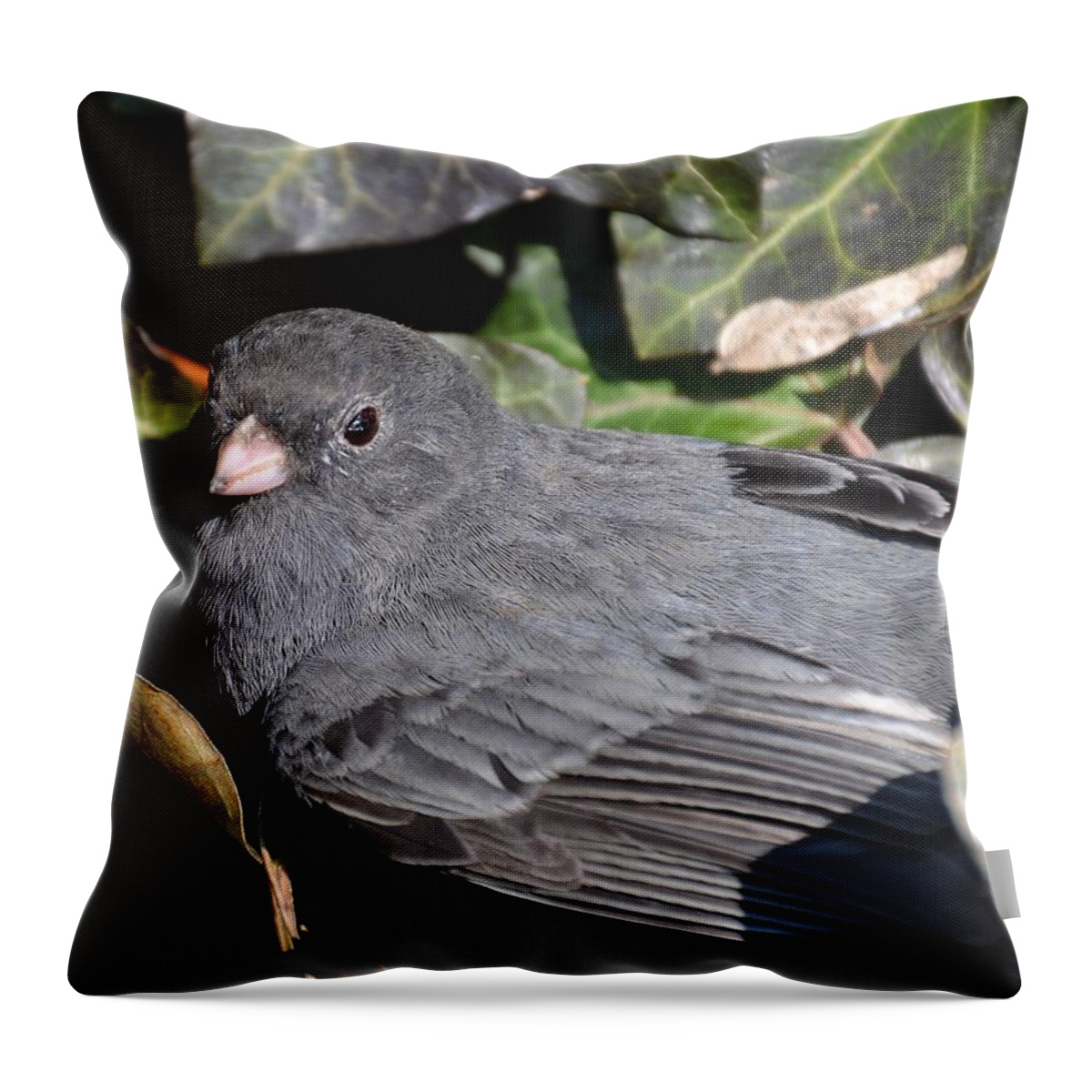 Junco Throw Pillow featuring the photograph Junco by Randy J Heath