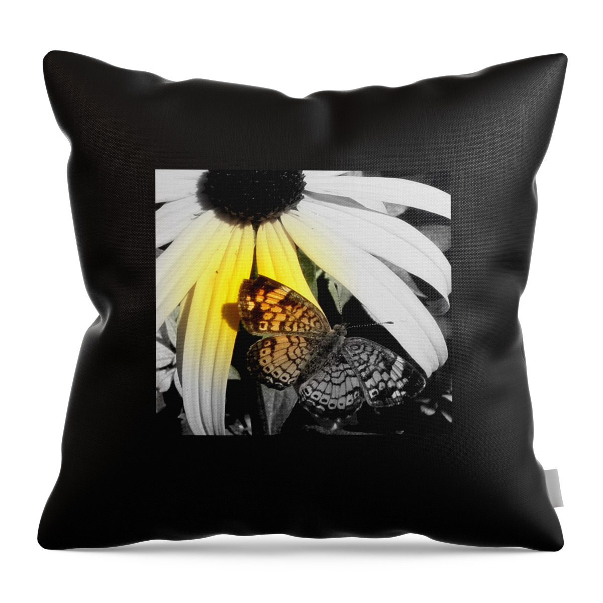 Butterfly Throw Pillow featuring the photograph Just A Touch by Kim Galluzzo