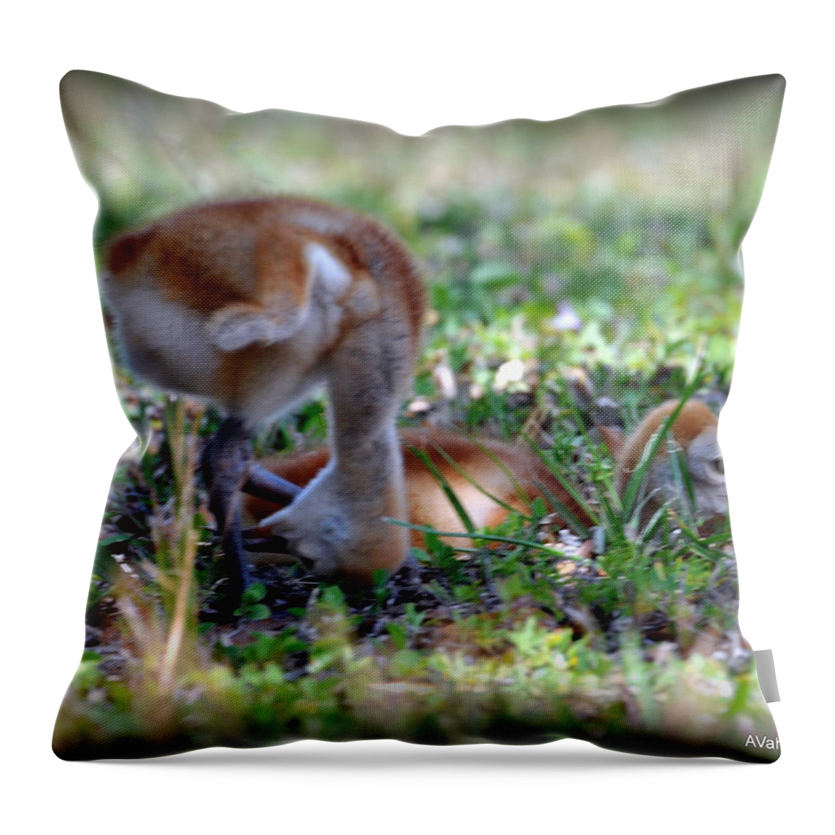 Wildlife Throw Pillow featuring the painting Just checking by AnnaJo Vahle