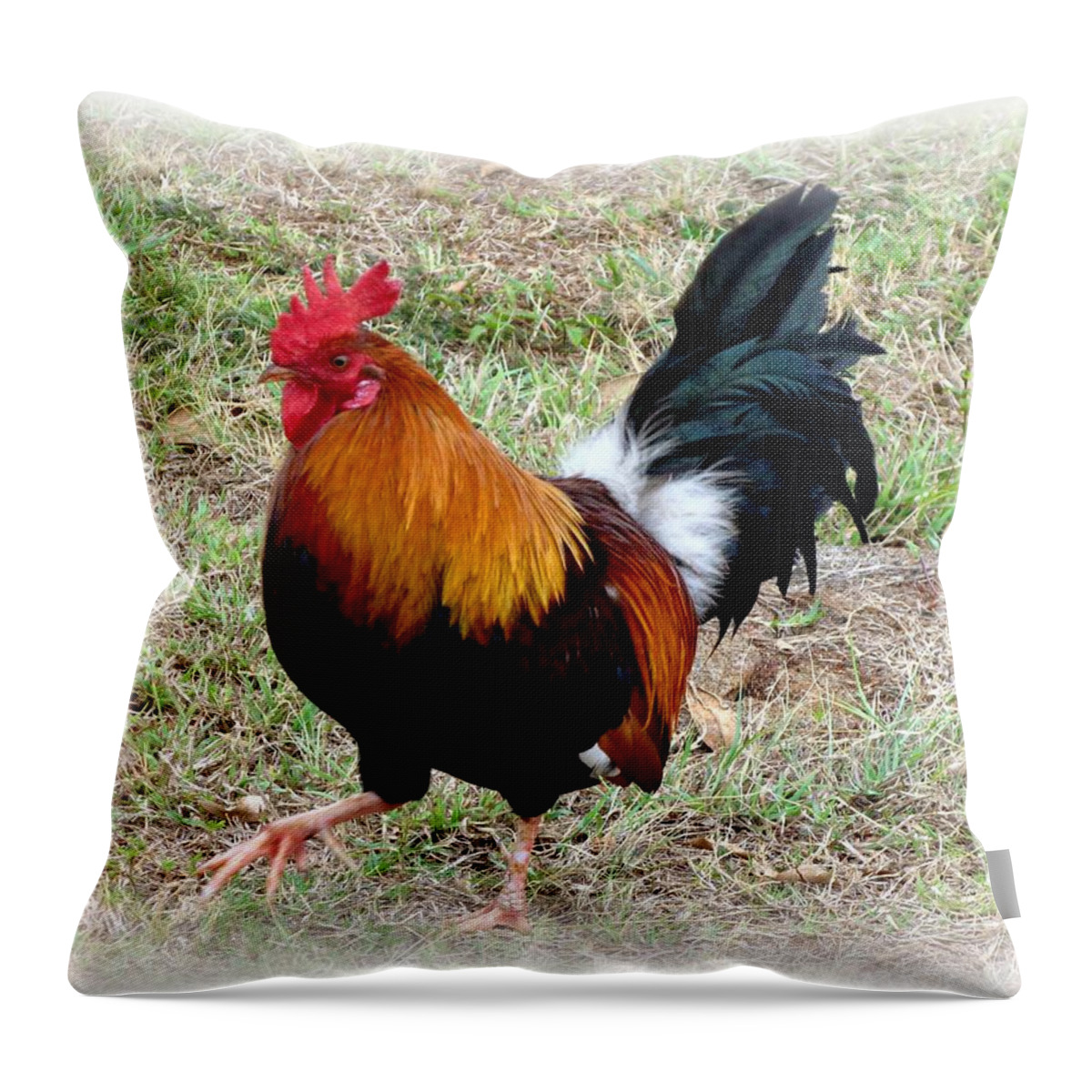 Rooster Throw Pillow featuring the photograph Kauai Rooster by Carol Sweetwood