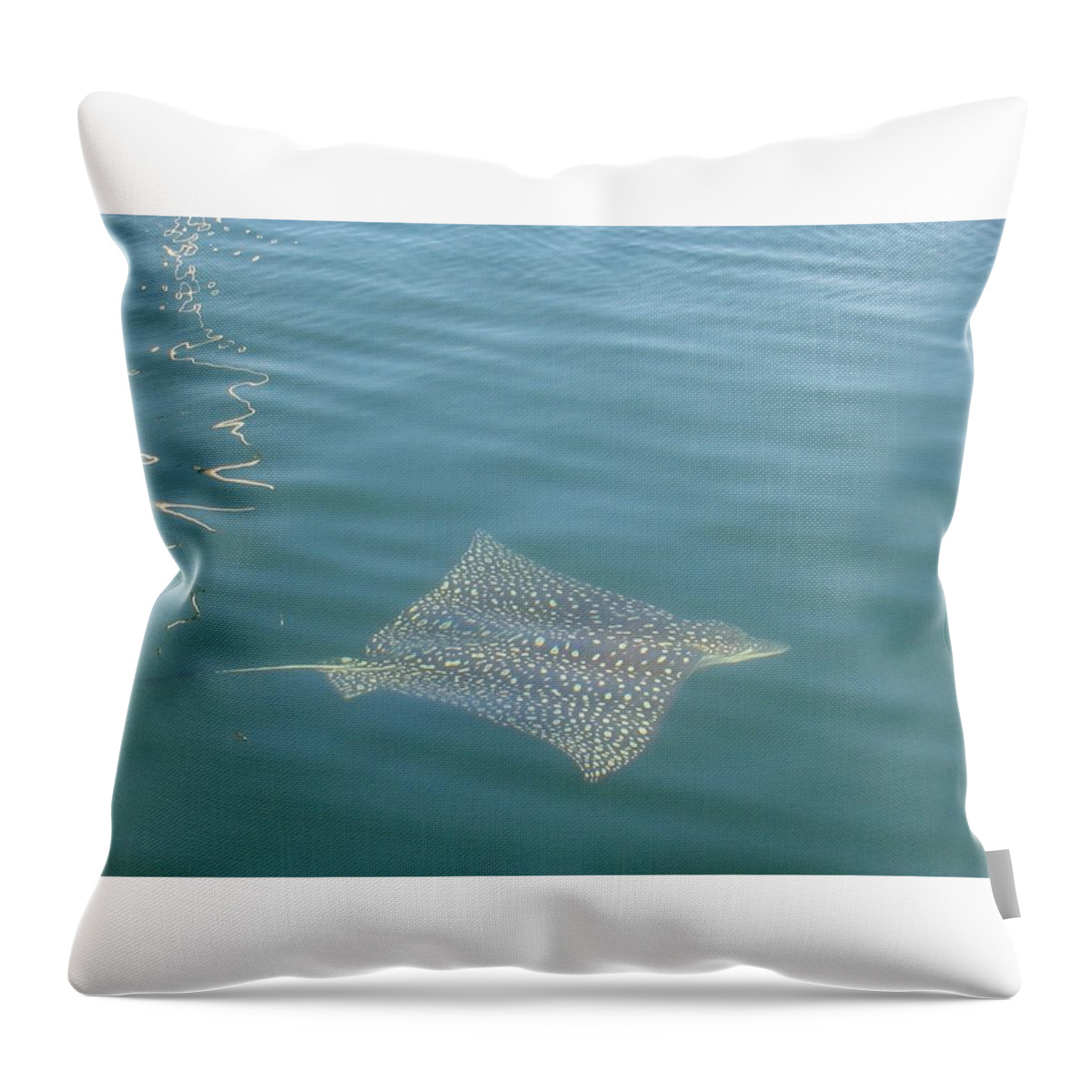Florida Throw Pillow featuring the photograph Key Largo Ray by Lin Grosvenor