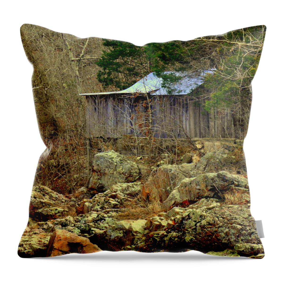 Mill Throw Pillow featuring the photograph Klepzig Mill by Marty Koch