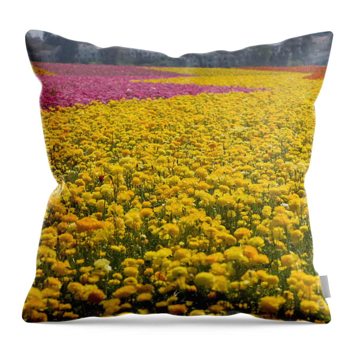 Flower Fields Throw Pillow featuring the photograph Knighton009 by Daniel Knighton