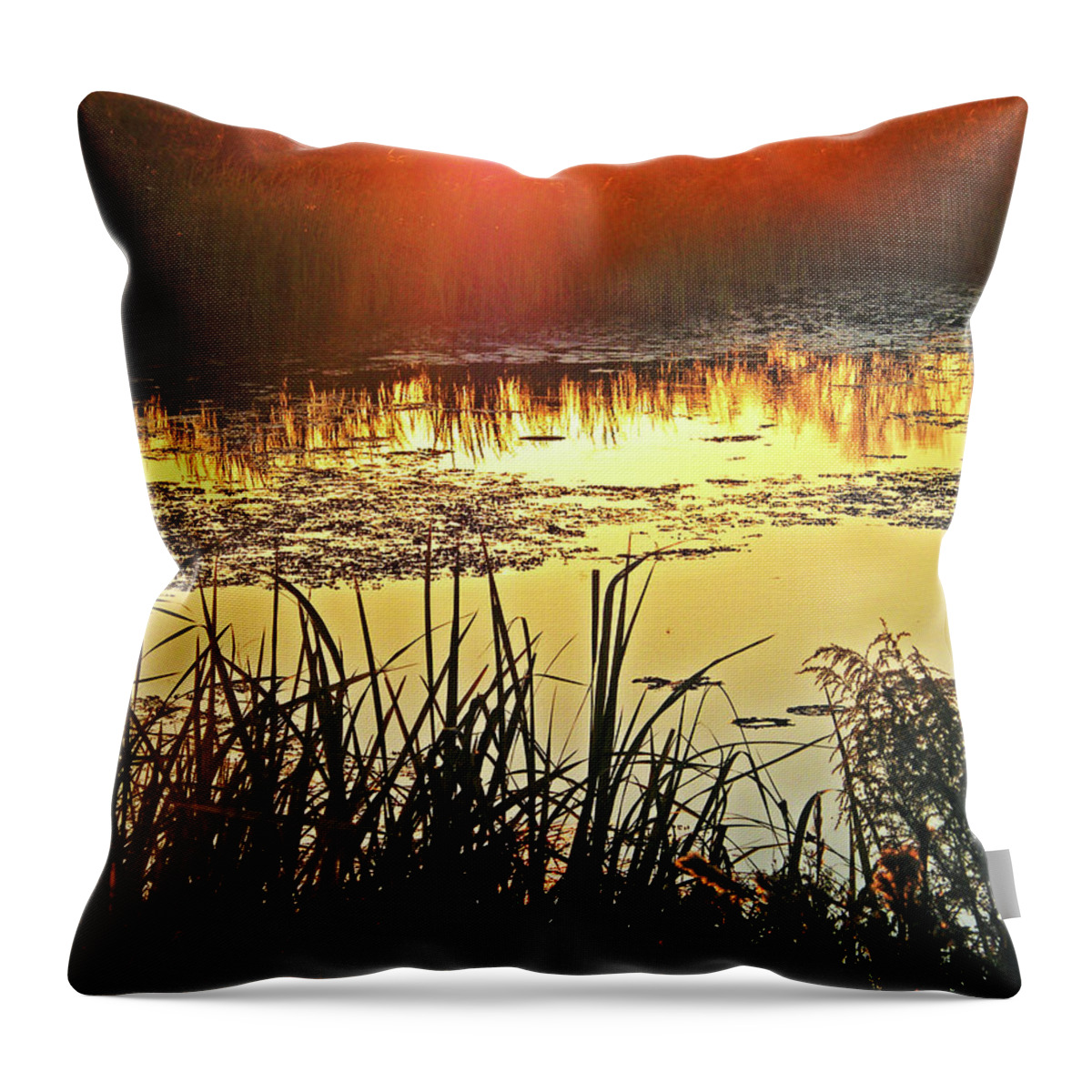 Lacassine Throw Pillow featuring the photograph Lacassine Sundown by Lizi Beard-Ward