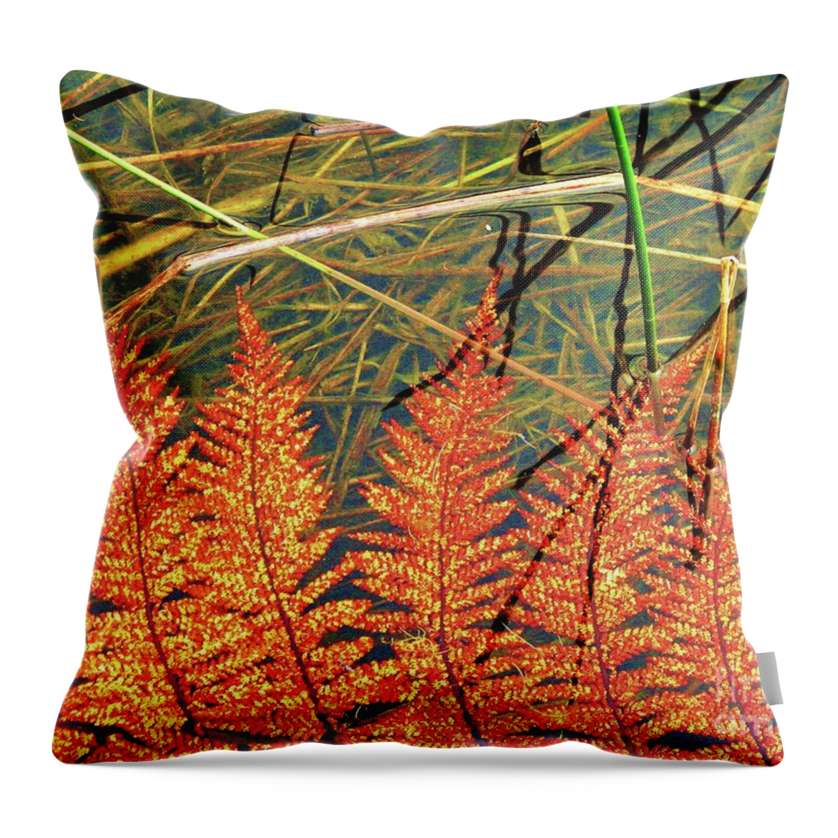 New Zealand Throw Pillow featuring the photograph Lagoon Fern by Michele Penner
