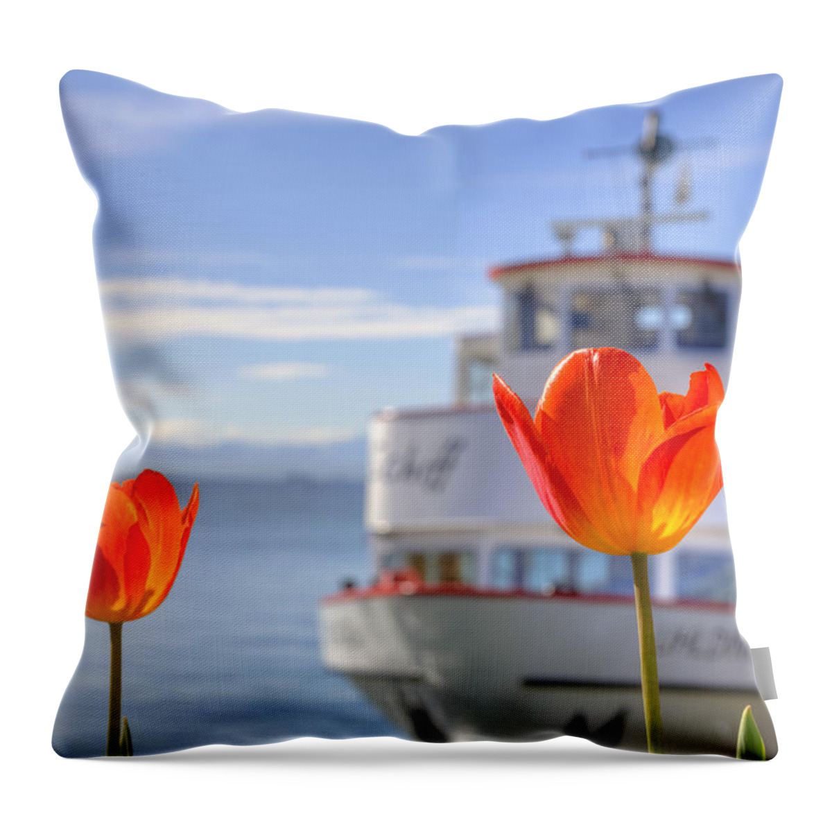 Uhldingen Throw Pillow featuring the photograph Lake Constance by Joana Kruse