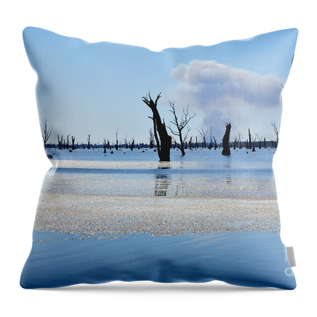 Photography Throw Pillow featuring the photograph Lake of the Black Stumps by Kaye Menner