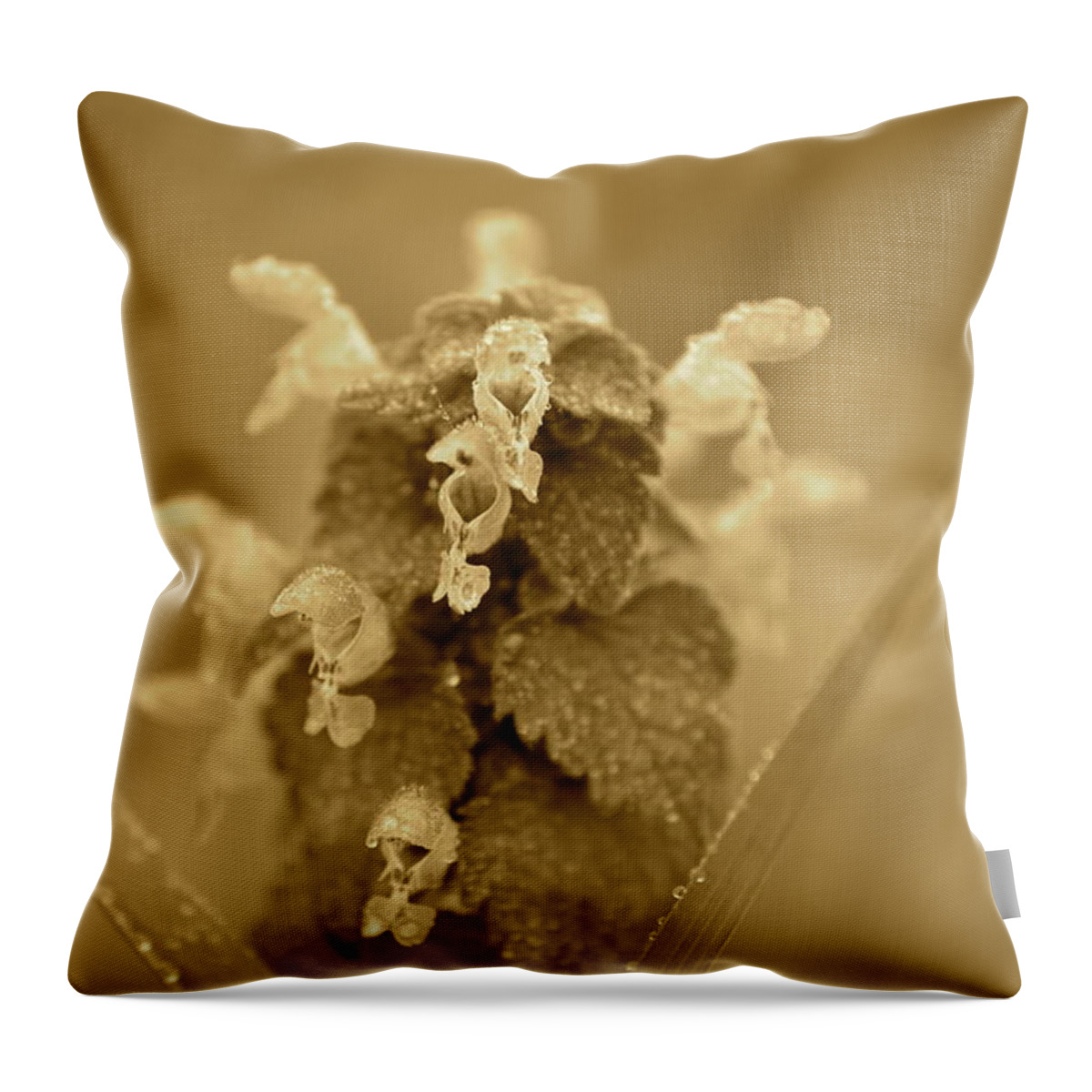 J.d. Grimes Throw Pillow featuring the photograph Lamium in sepia by JD Grimes