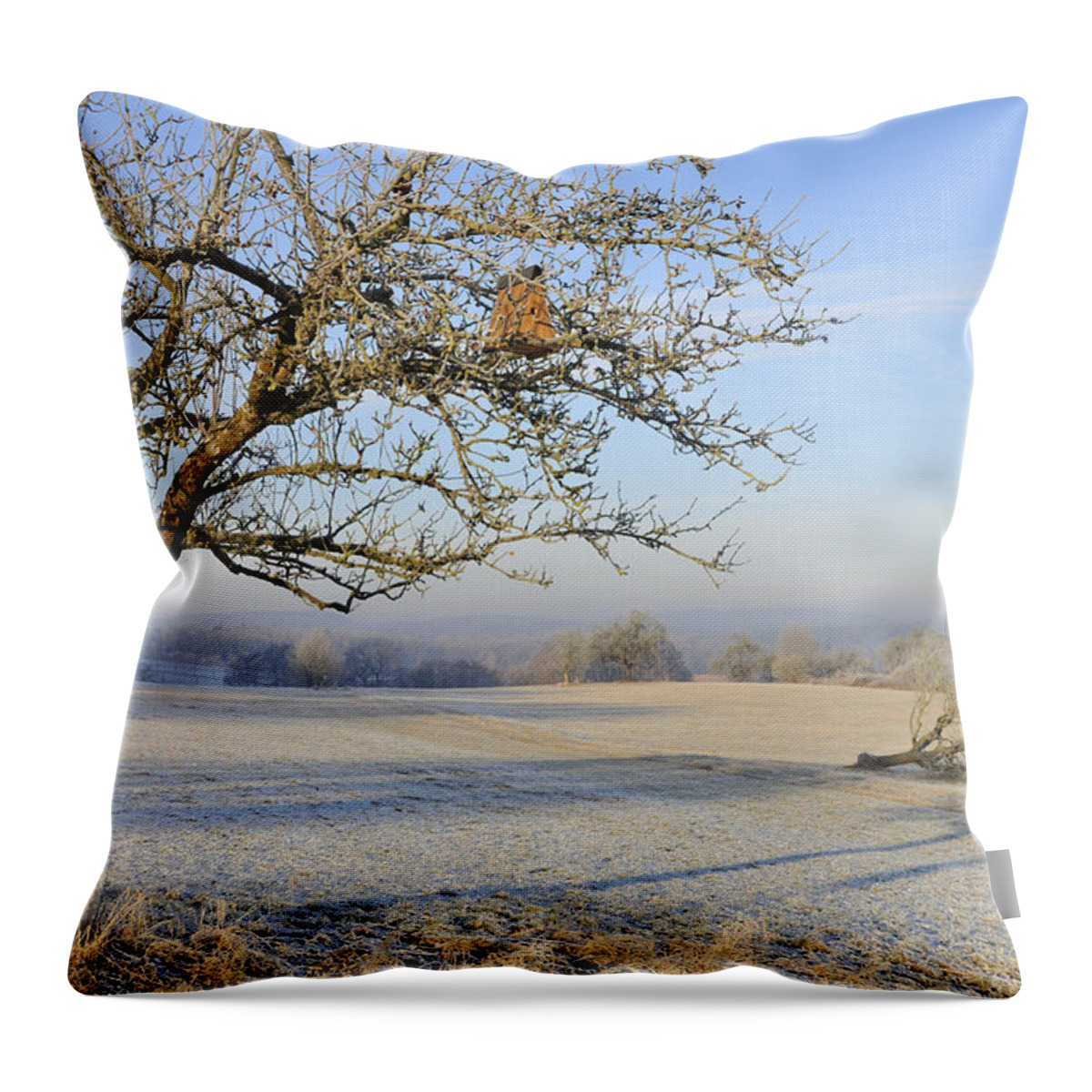 Landscape Throw Pillow featuring the photograph Landscape in beautiful warm morning light by Matthias Hauser