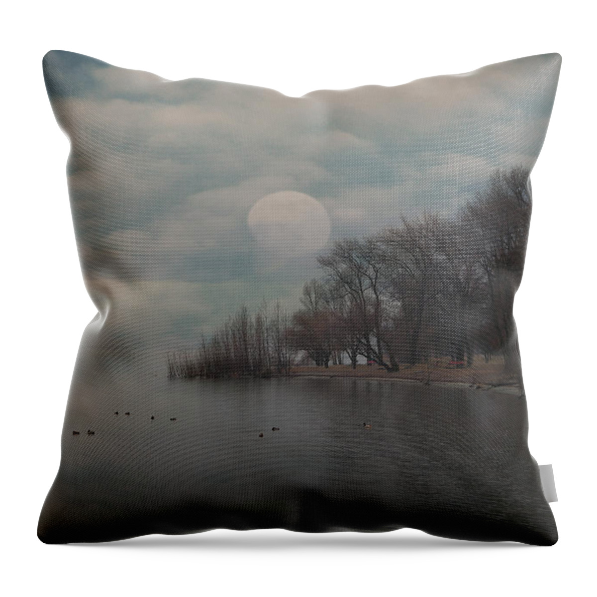 Bay Throw Pillow featuring the photograph Landscape Of Dreams by Joana Kruse