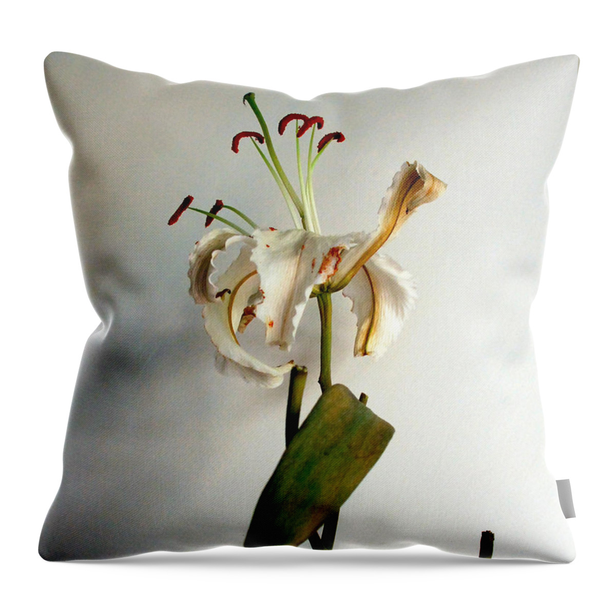 Flowers Throw Pillow featuring the photograph Last Moments by Pravine Chester
